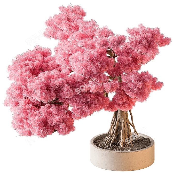 Bonsai Beauty: Indoor Plant 658 3D model image 1