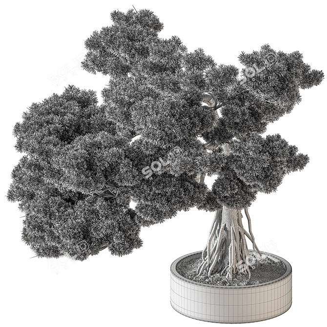 Bonsai Beauty: Indoor Plant 658 3D model image 4