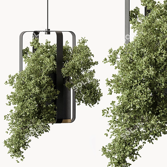 Lush Hanging Indoor Plant 3D model image 1