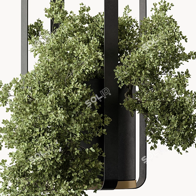 Lush Hanging Indoor Plant 3D model image 2