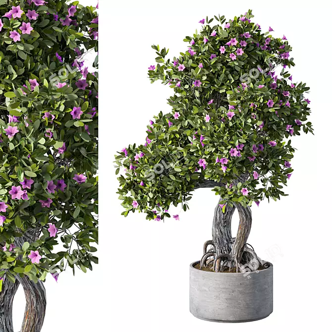 Leafy Trio Plant Set 113 3D model image 1