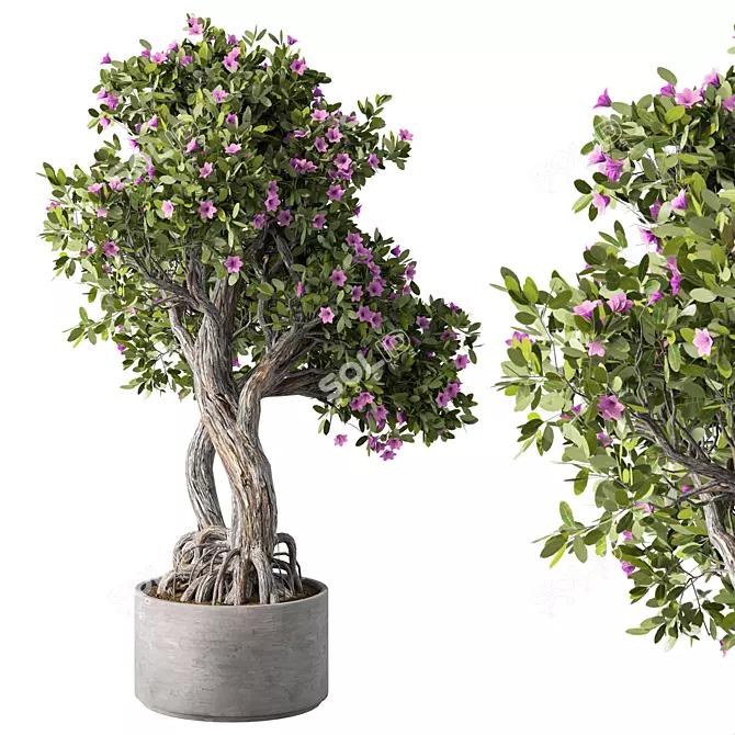 Leafy Trio Plant Set 113 3D model image 2