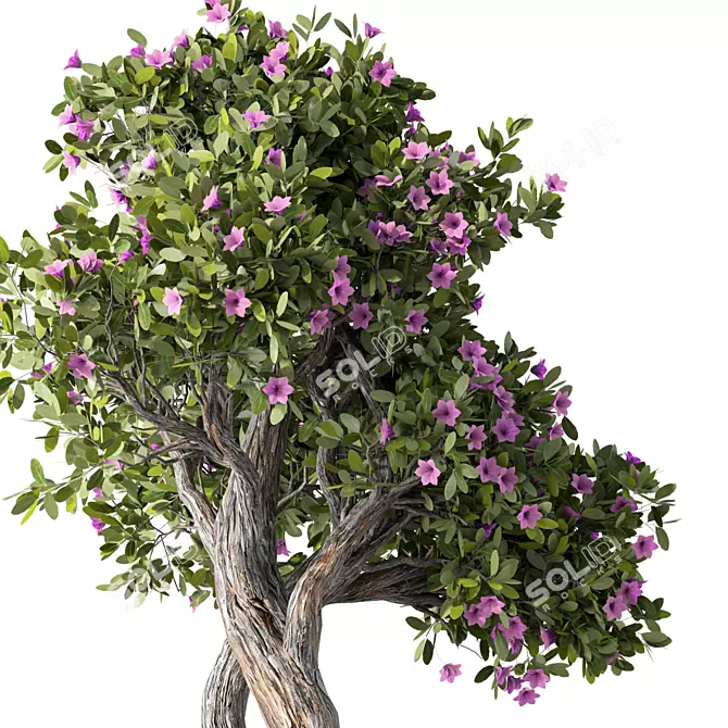 Leafy Trio Plant Set 113 3D model image 3