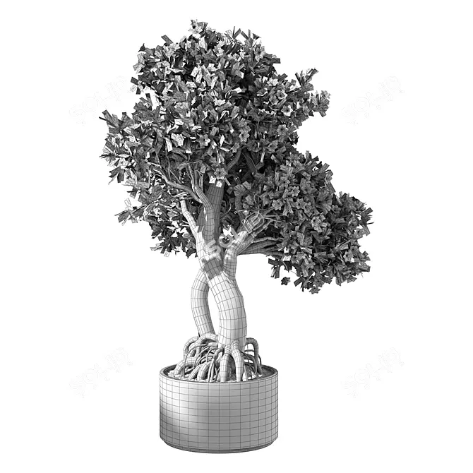 Leafy Trio Plant Set 113 3D model image 4