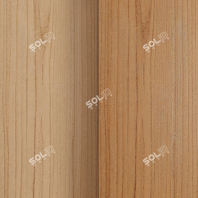 Natural Oak Texture Set 3D model image 4