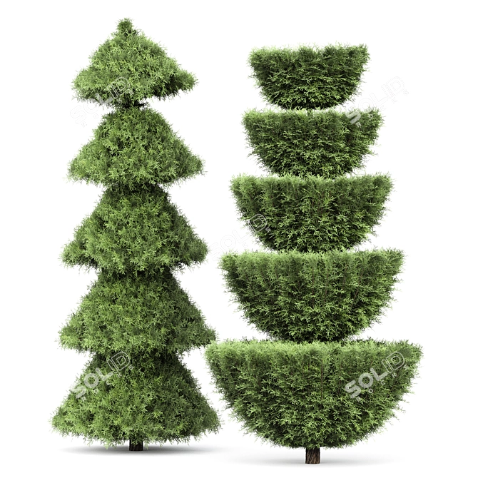 Pruned Cedar Trees 3D Models 3D model image 3