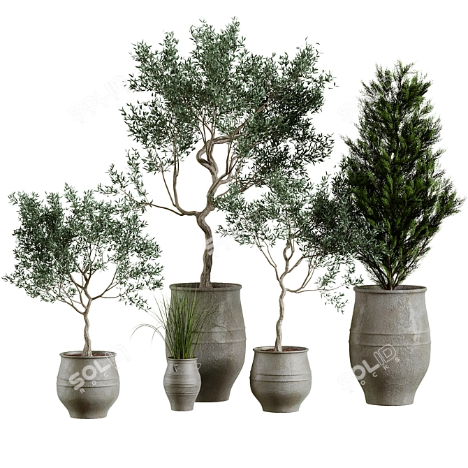 Plant Collection in Pots, Height 62-180cm 3D model image 1