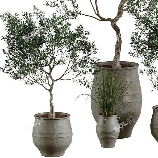 Plant Collection in Pots, Height 62-180cm 3D model image 2