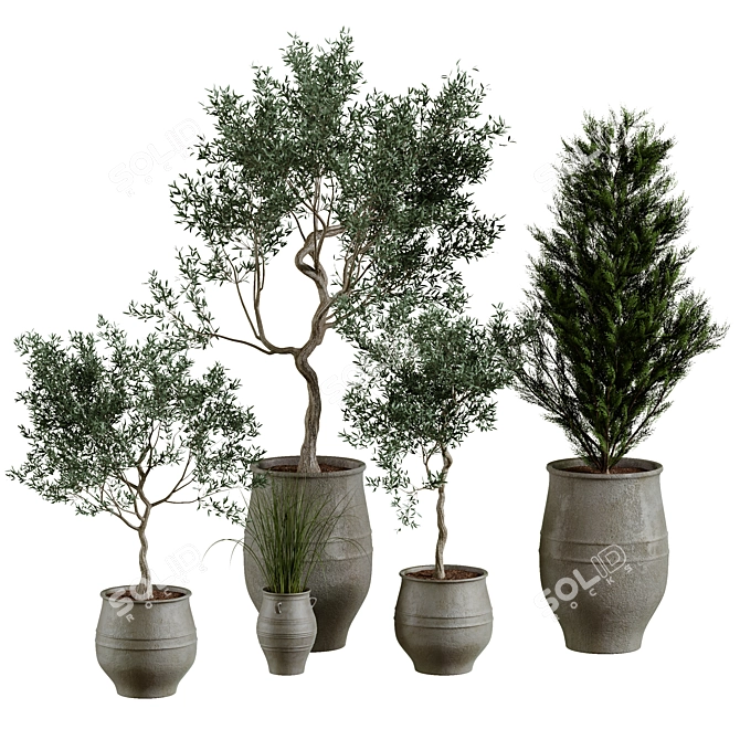 Plant Collection in Pots, Height 62-180cm 3D model image 3