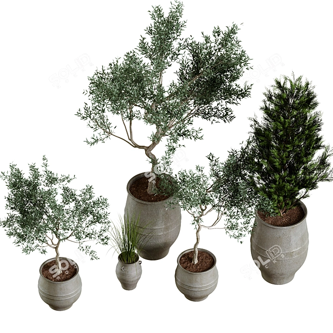 Plant Collection in Pots, Height 62-180cm 3D model image 4