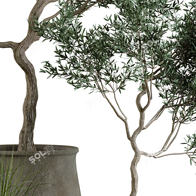 Plant Collection in Pots, Height 62-180cm 3D model image 5