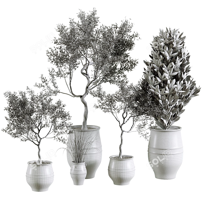 Plant Collection in Pots, Height 62-180cm 3D model image 6