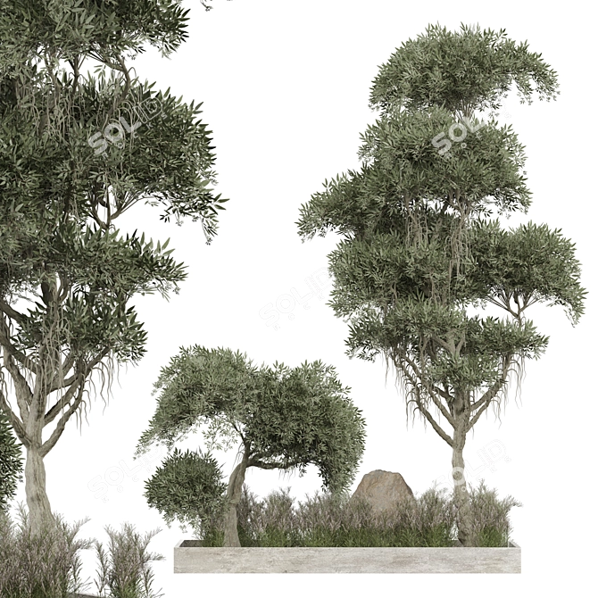 Outdoor Plant 267 3D Model 3D model image 1