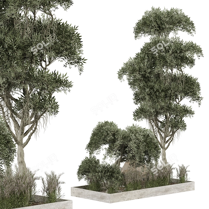 Outdoor Plant 267 3D Model 3D model image 2