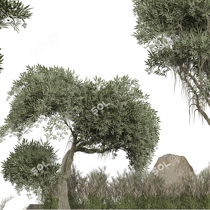 Outdoor Plant 267 3D Model 3D model image 3