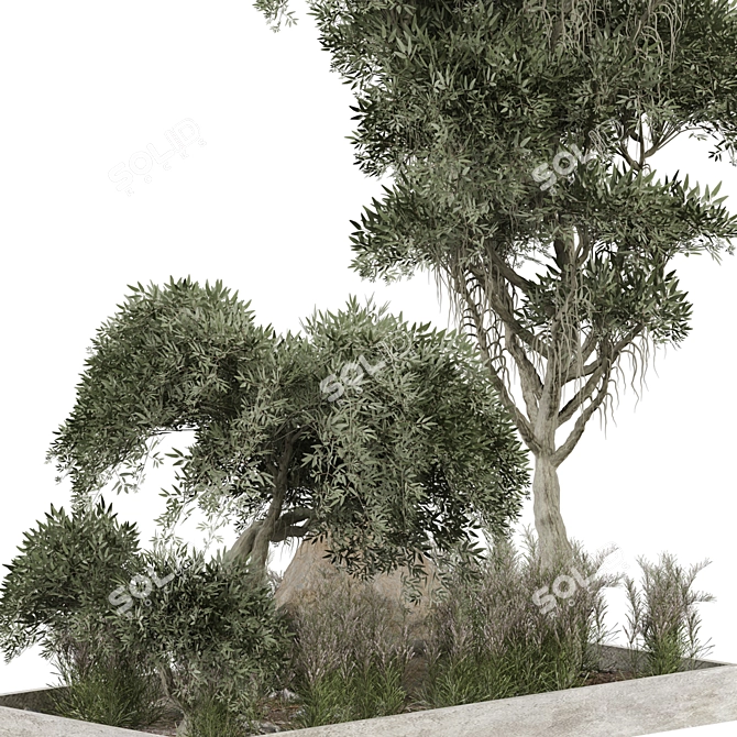 Outdoor Plant 267 3D Model 3D model image 4