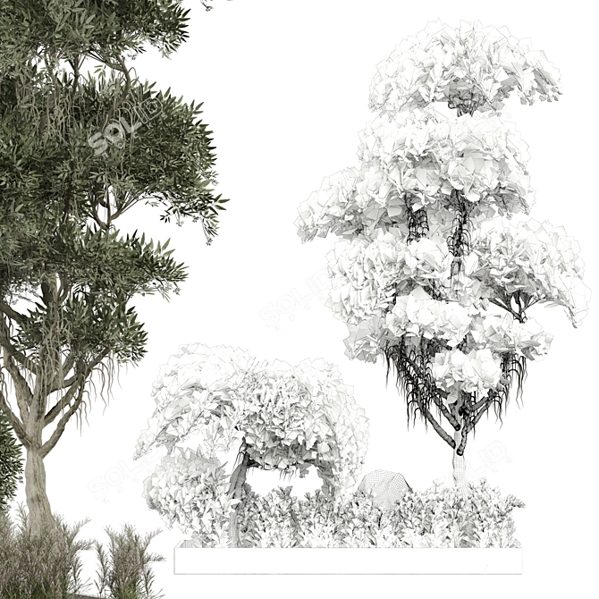 Outdoor Plant 267 3D Model 3D model image 5