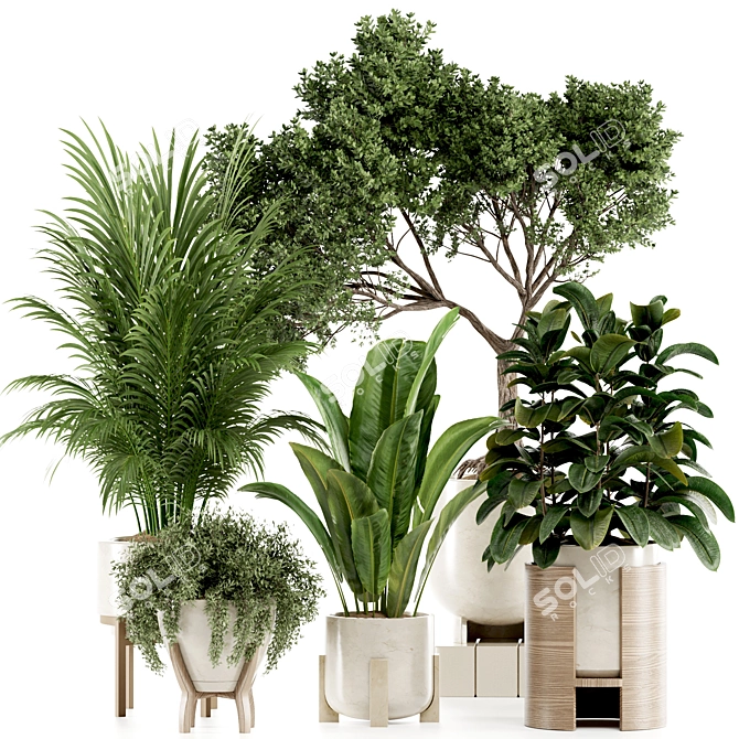 Premium Indoor Plants Set97 Model 3D model image 1