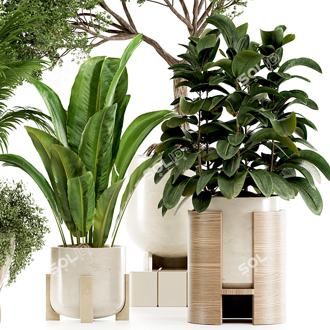 Premium Indoor Plants Set97 Model 3D model image 2