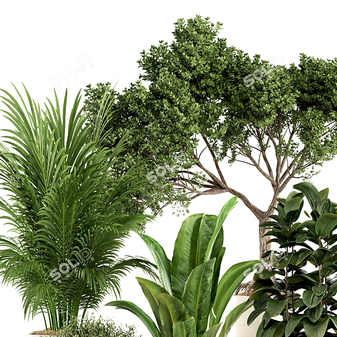 Premium Indoor Plants Set97 Model 3D model image 4