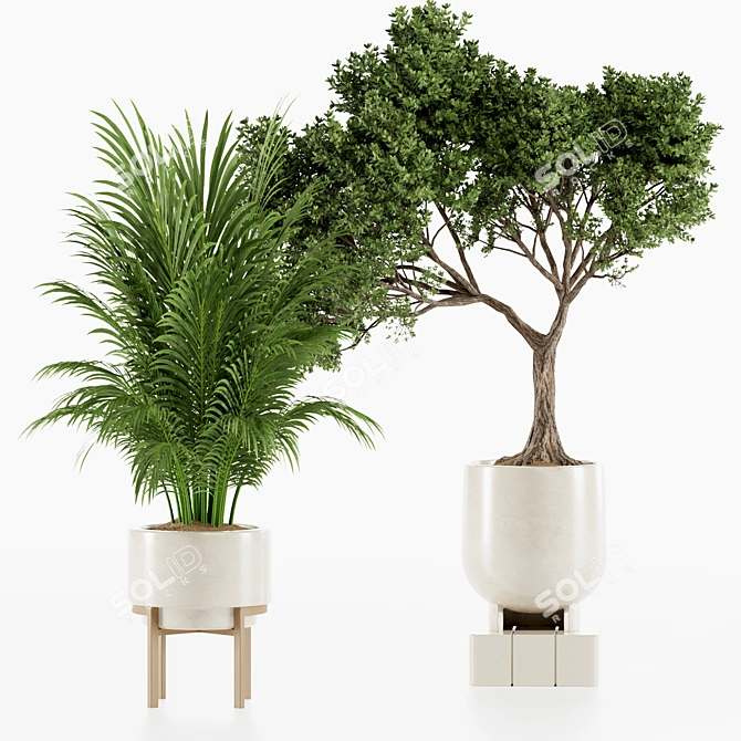 Premium Indoor Plants Set97 Model 3D model image 5