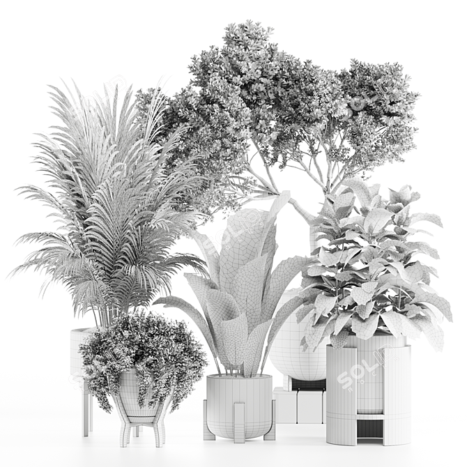 Premium Indoor Plants Set97 Model 3D model image 6