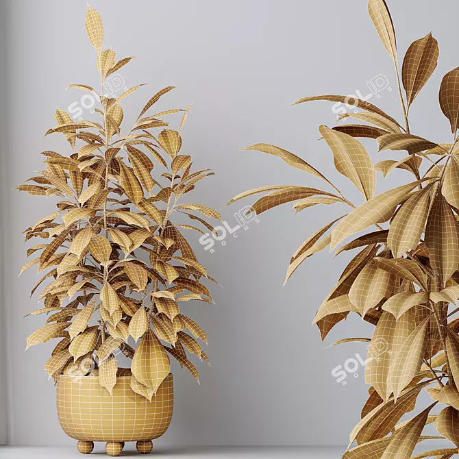 African Fig Tree Set, Leafy Green 3D model image 6