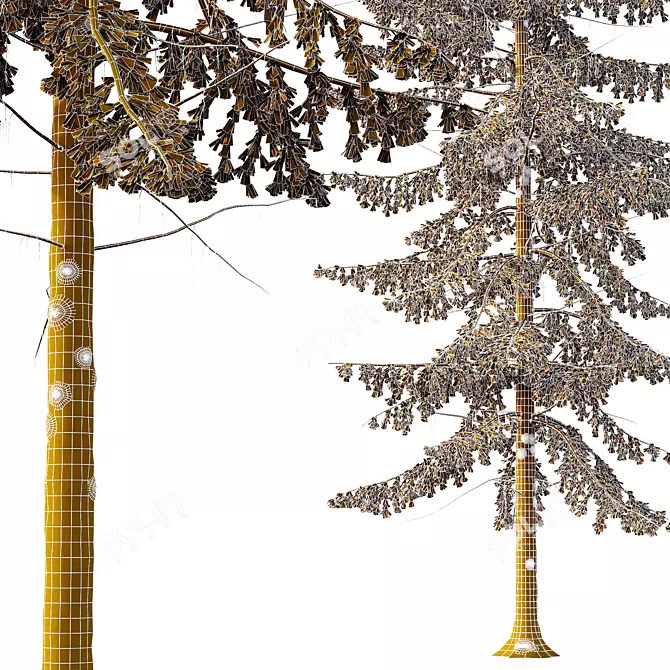 3D Spruce Tree Models Kit 3D model image 3