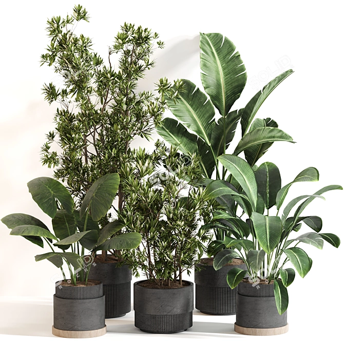 Modern Indoor Plant Set 077 3D model image 1