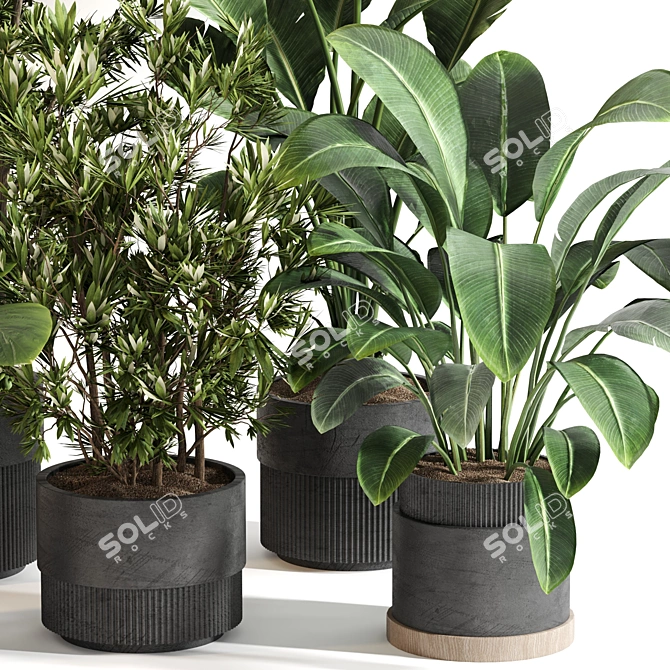 Modern Indoor Plant Set 077 3D model image 2