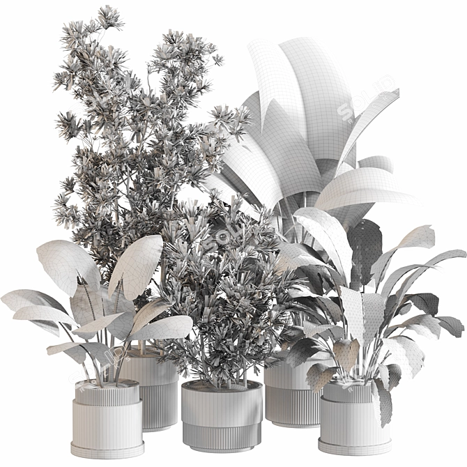 Modern Indoor Plant Set 077 3D model image 4