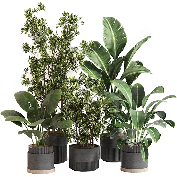 Modern Indoor Plant Set 077 3D model image 5