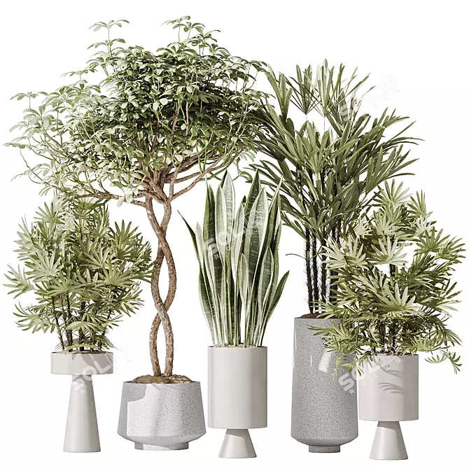 Minimalist Indoor Plant Set Collection 3D model image 1