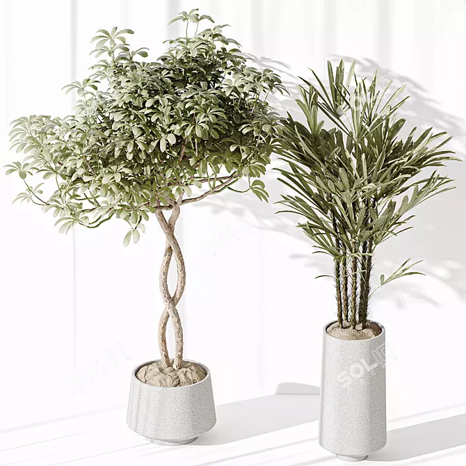 Minimalist Indoor Plant Set Collection 3D model image 3