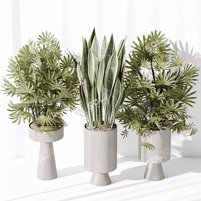 Minimalist Indoor Plant Set Collection 3D model image 4