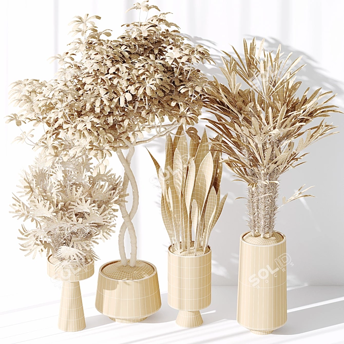 Minimalist Indoor Plant Set Collection 3D model image 5