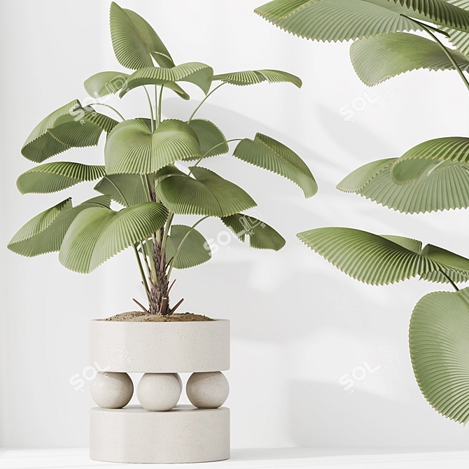 5 Indoor Plant 3D Models 3D model image 4