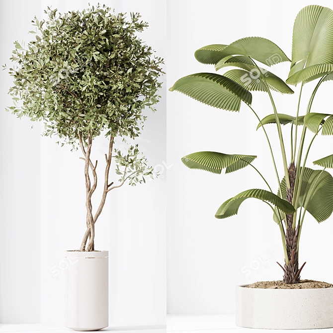 5 Indoor Plant 3D Models 3D model image 5