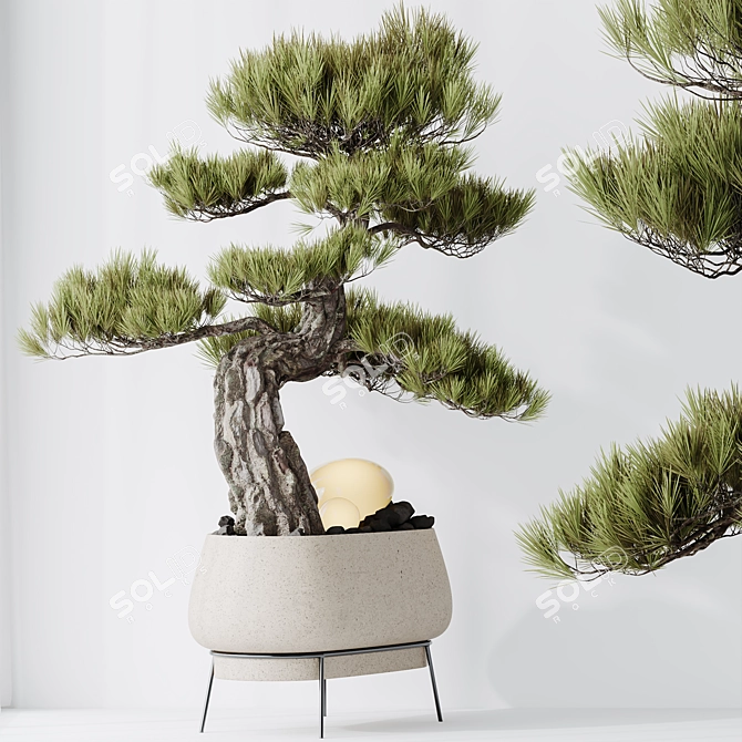 5 Indoor Plant 3D Models 3D model image 6