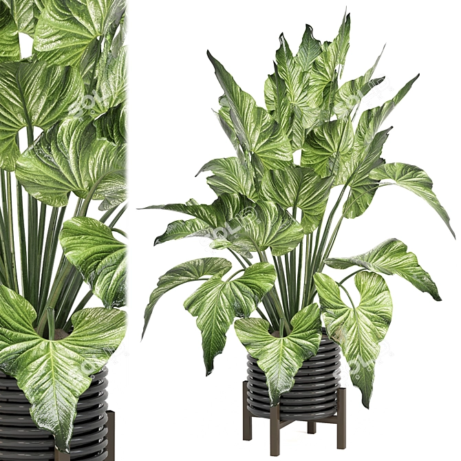 Modern Indoor Plants Set 1242 3D model image 1