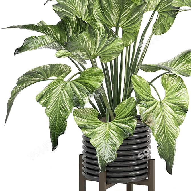 Modern Indoor Plants Set 1242 3D model image 2