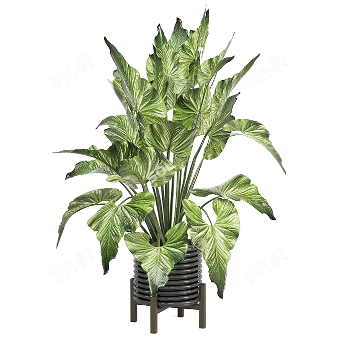 Modern Indoor Plants Set 1242 3D model image 3