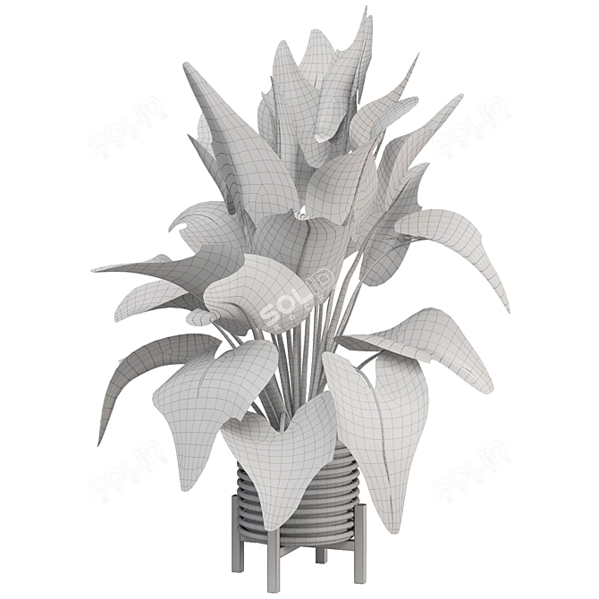 Modern Indoor Plants Set 1242 3D model image 4