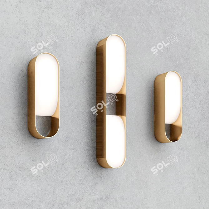 Elegant LOOP Wall Lights 3D model image 2