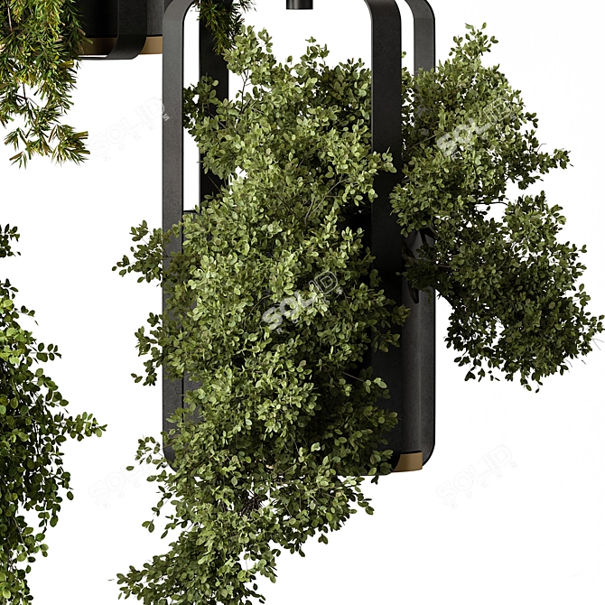 695 Hanging Indoor Plants 3D model image 3