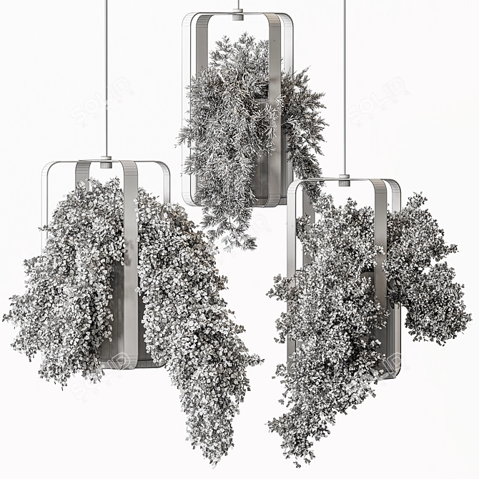 695 Hanging Indoor Plants 3D model image 4