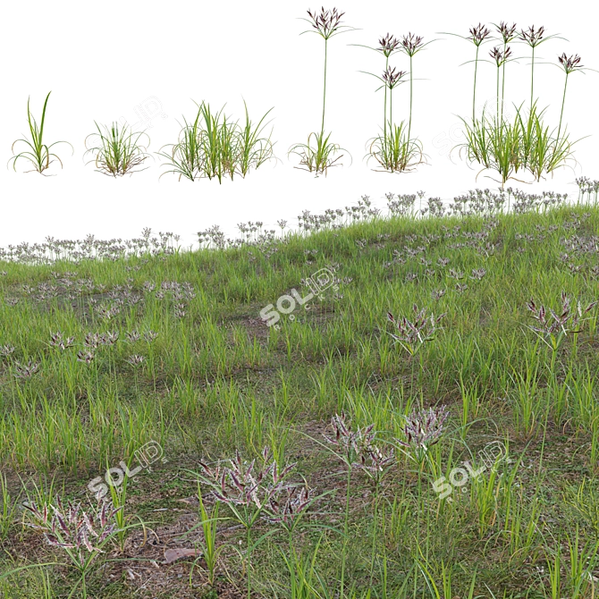 Comprehensive 3D Plant Variety Kit 3D model image 3