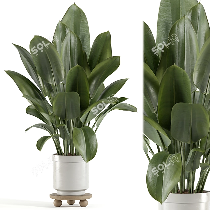 Custom 3D Plant Model (Obj) 3D model image 1