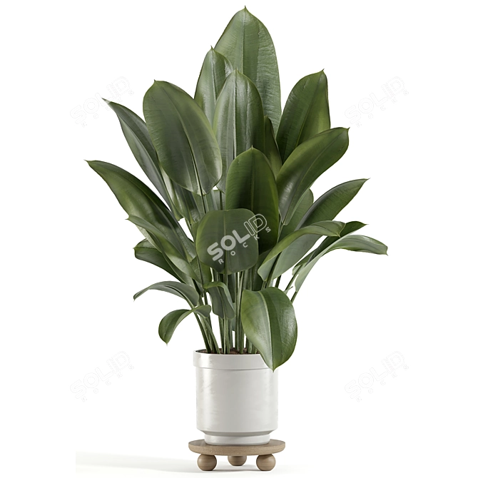 Custom 3D Plant Model (Obj) 3D model image 2