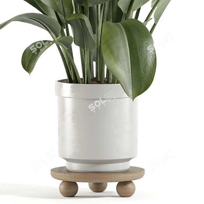 Custom 3D Plant Model (Obj) 3D model image 3